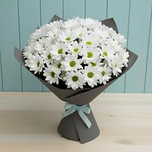 Букет цветов из:  Хризантемы #REPLACE_PRED# Дальнем Константиново