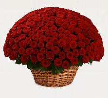 Премиум букет из: Розы в Дальнем Константиново